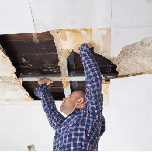 Ahmed Inspects Collapsed Ceiling Amid Housing Struggle Ahmed examines a collapsed, water-damaged ceiling caused by severe mold and a leaky roof.