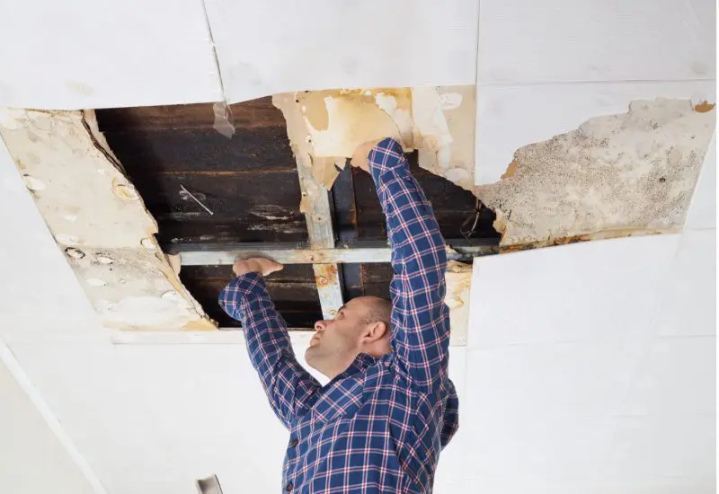 Ahmed Inspects Collapsed Ceiling Amid Housing Struggle Ahmed examines a collapsed, water-damaged ceiling caused by severe mold and a leaky roof.