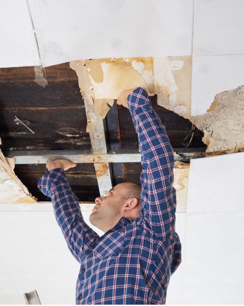Ahmed Inspects Collapsed Ceiling Amid Housing Struggle Ahmed examines a collapsed, water-damaged ceiling caused by severe mold and a leaky roof.
